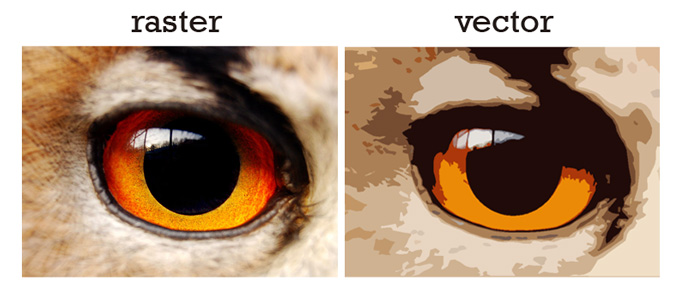 vector vs raster vs